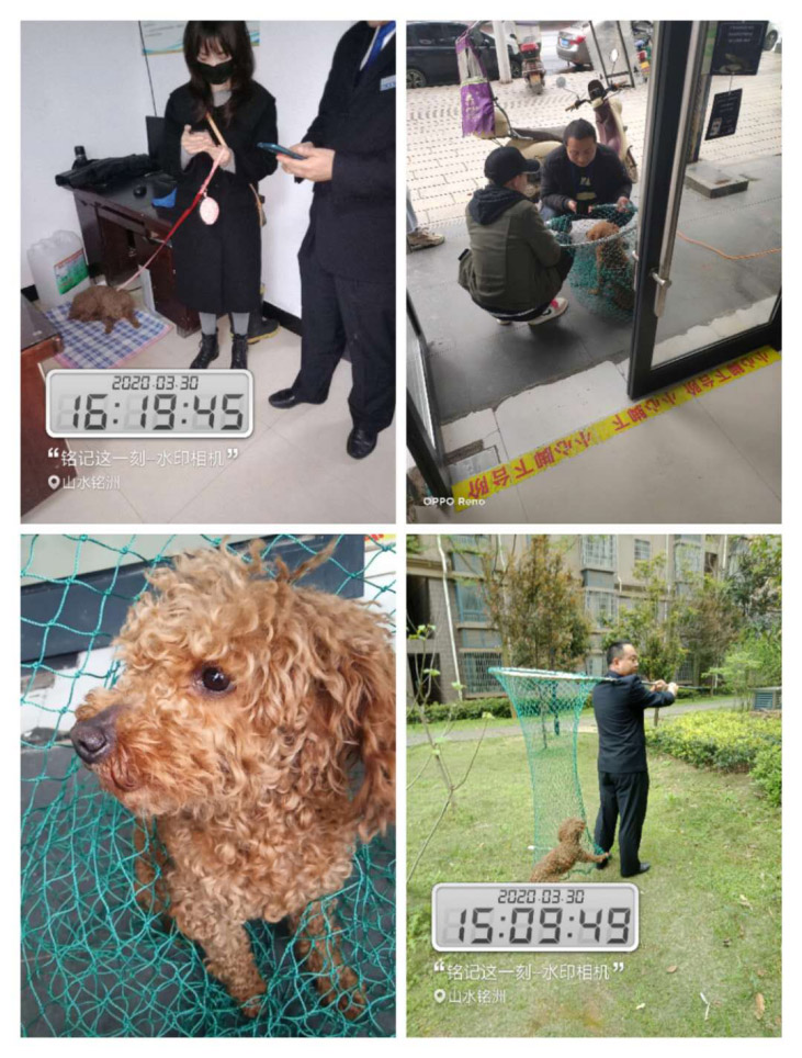 常德市陽(yáng)光物業(yè)服務(wù)有限公司,常德物業(yè)管理,物業(yè)企業(yè),陽(yáng)光物業(yè) 常德市陽(yáng)光物業(yè)服務(wù)有限公司,常德物業(yè)管理,物業(yè)企業(yè),陽(yáng)光物業(yè)